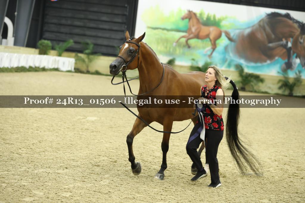 Proof 24R13_01506