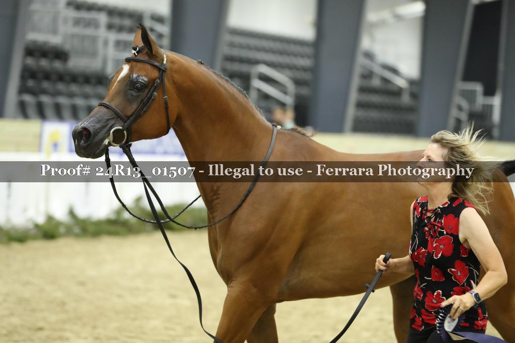 Proof 24R13_01507