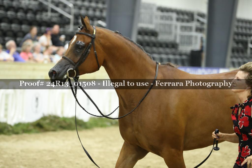 Proof 24R13_01508