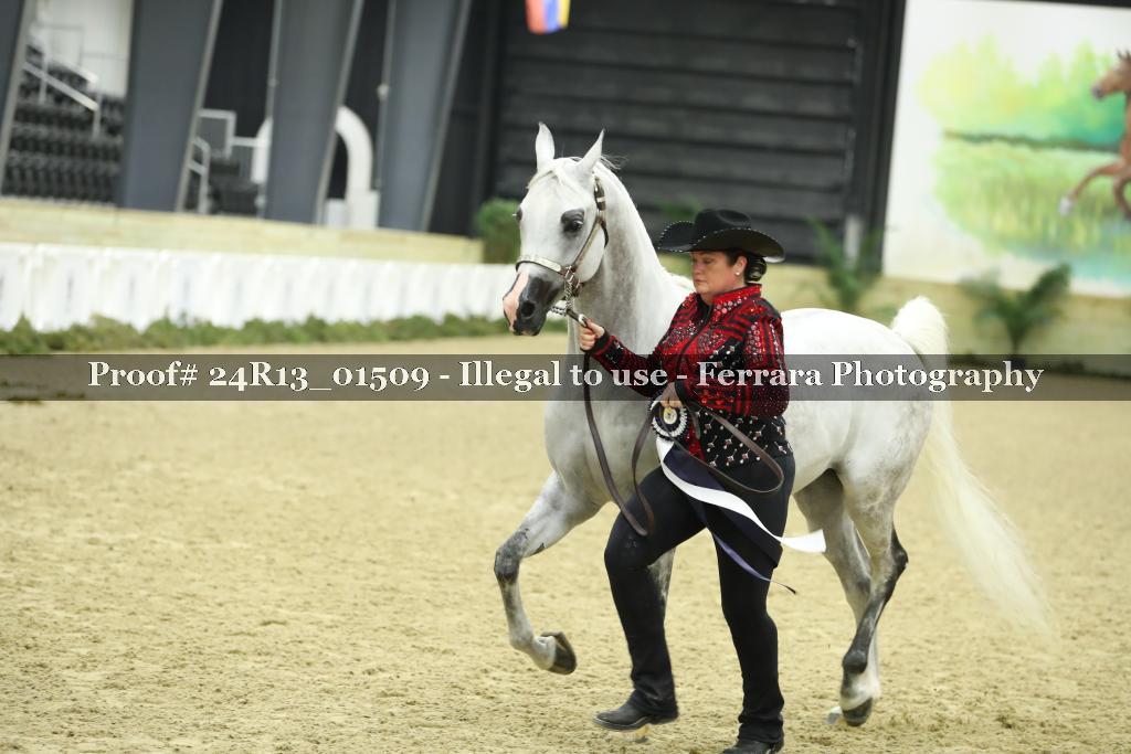 Proof 24R13_01509