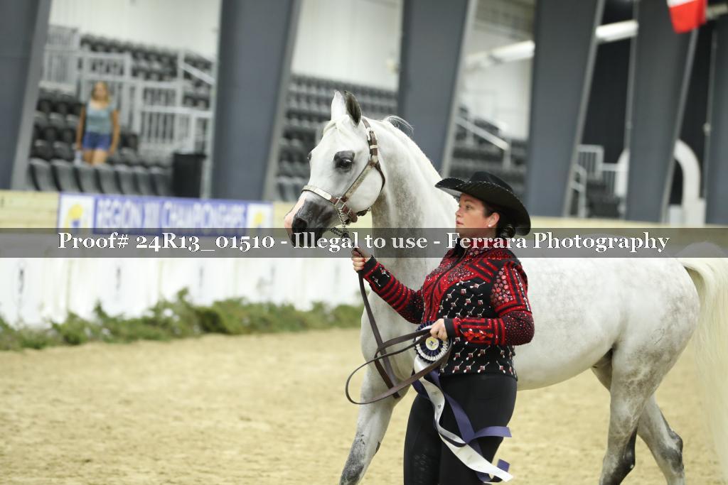 Proof 24R13_01510