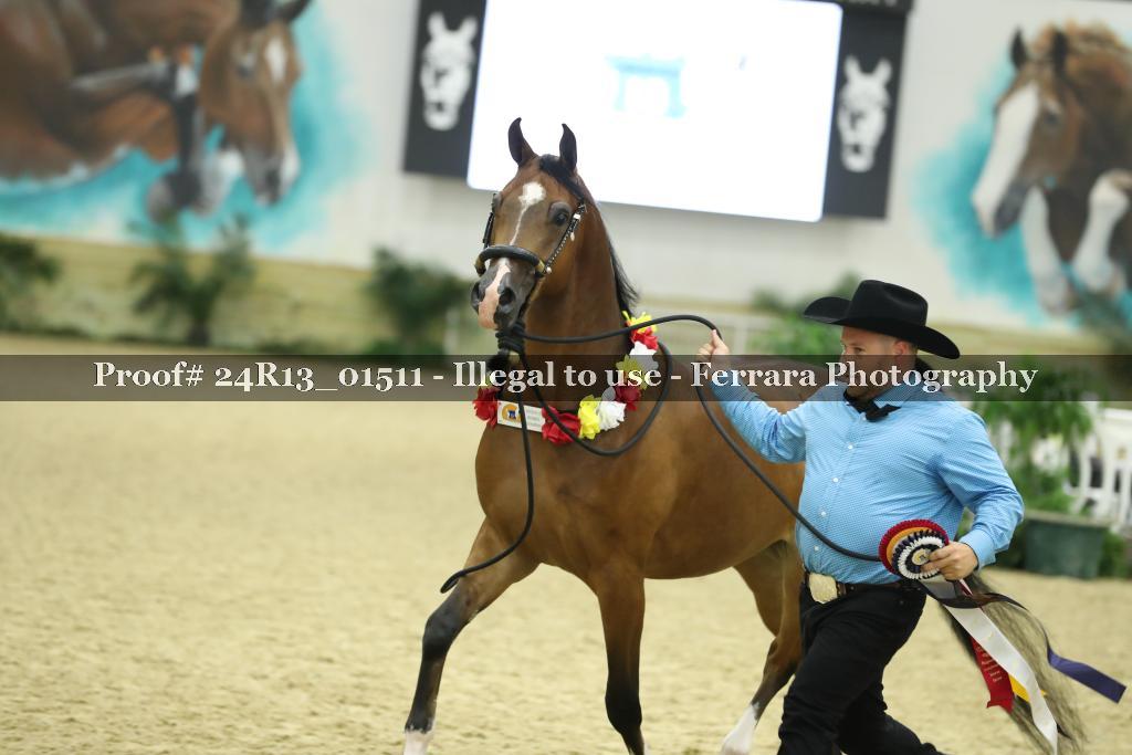 Proof 24R13_01511