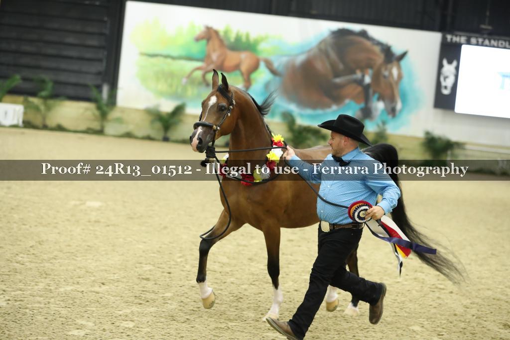 Proof 24R13_01512