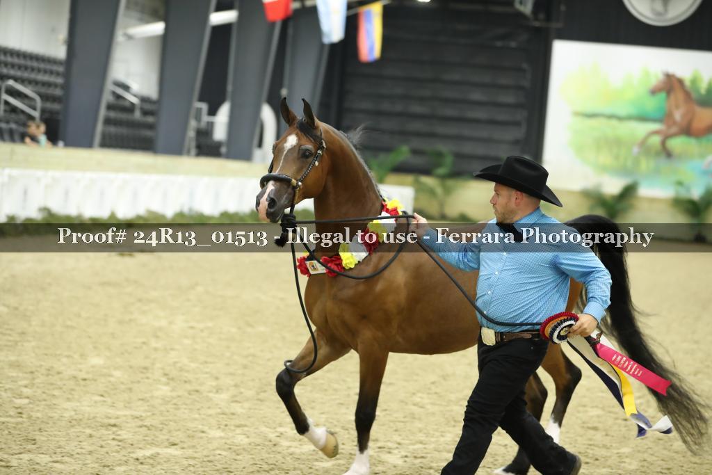 Proof 24R13_01513