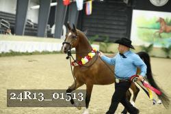 24R13_01513 proof