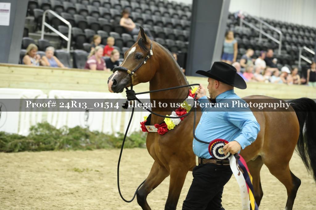 Proof 24R13_01514