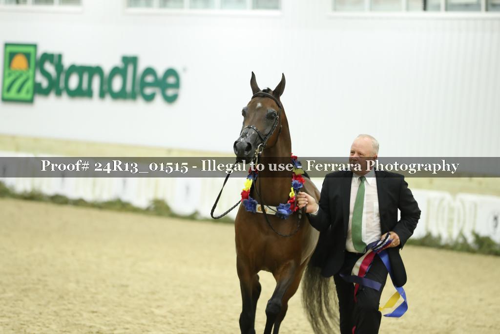 Proof 24R13_01515