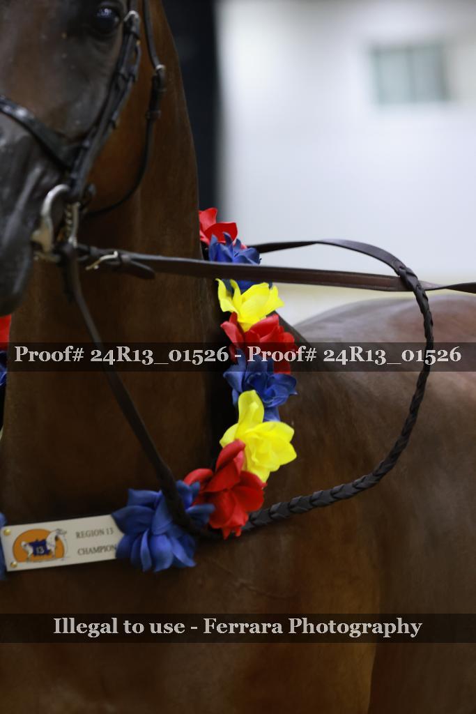 Proof 24R13_01526