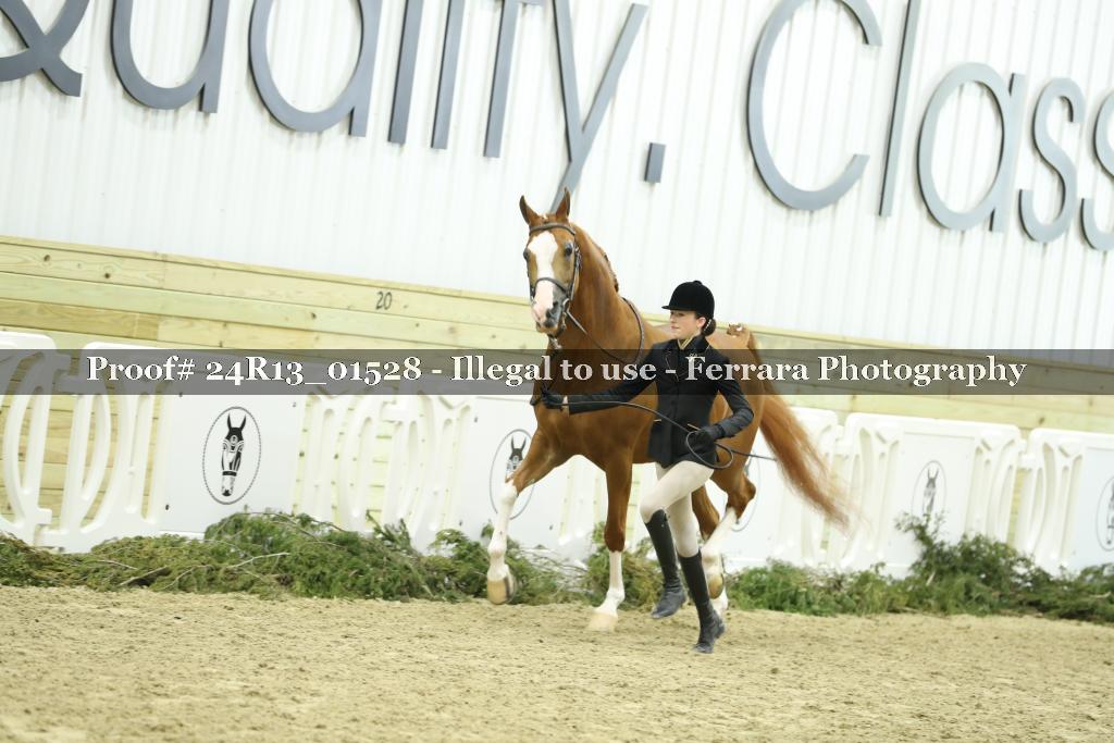 Proof 24R13_01528