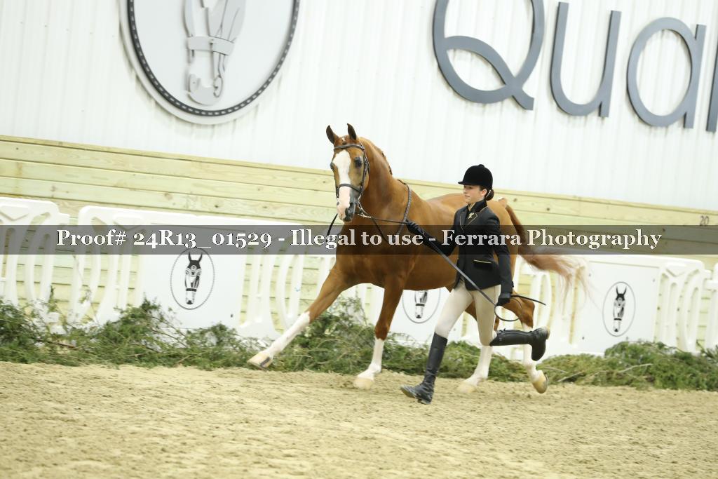 Proof 24R13_01529