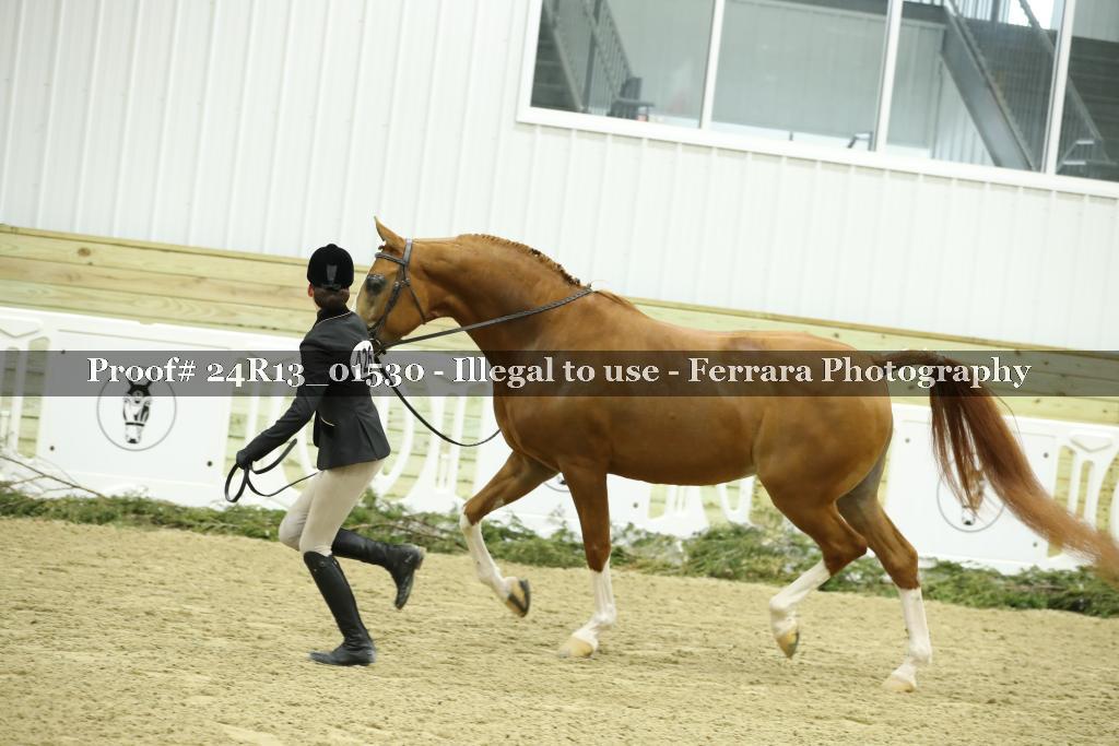 Proof 24R13_01530