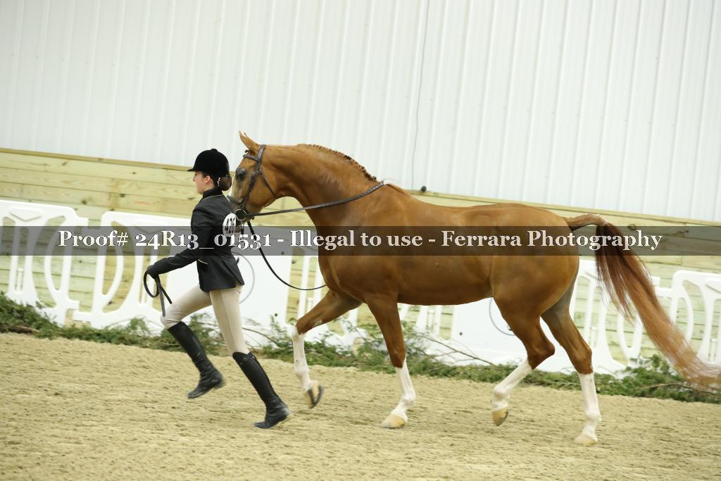 Proof 24R13_01531