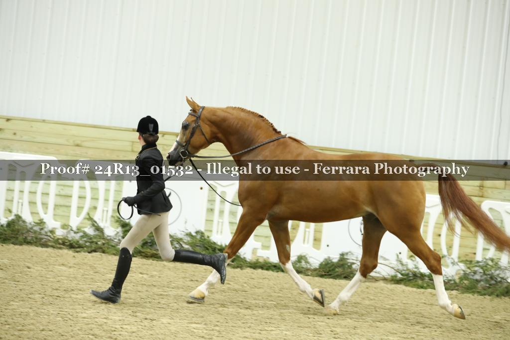 Proof 24R13_01532