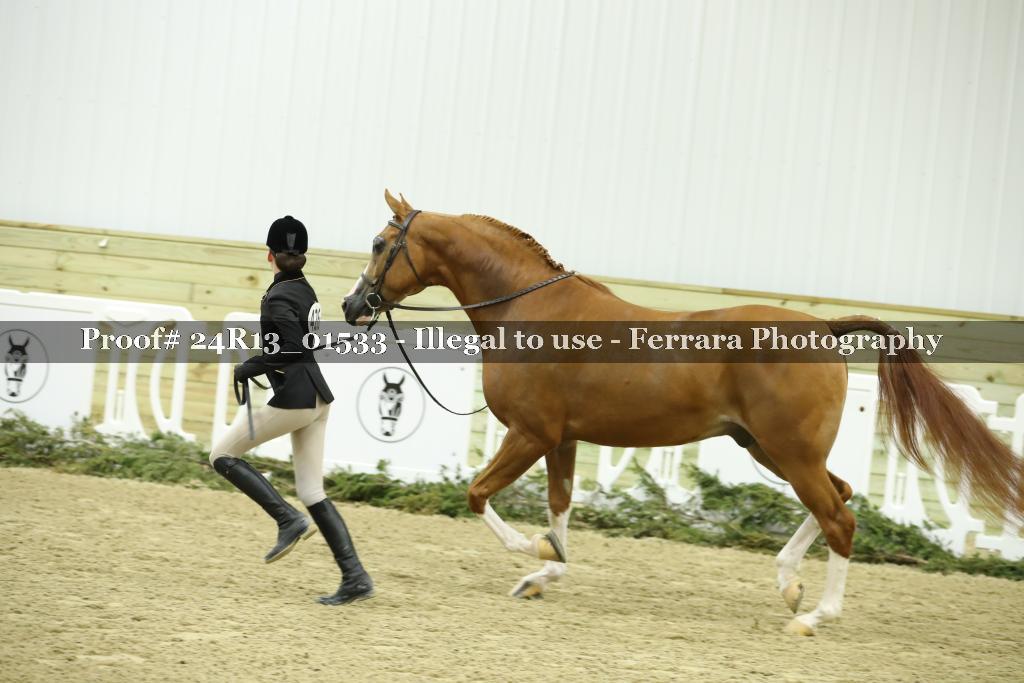 Proof 24R13_01533