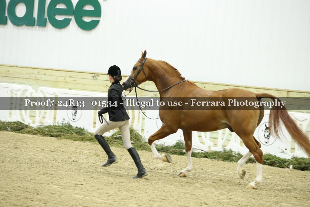 Proof 24R13_01534
