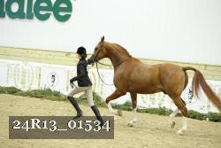 24R13_01534 proof