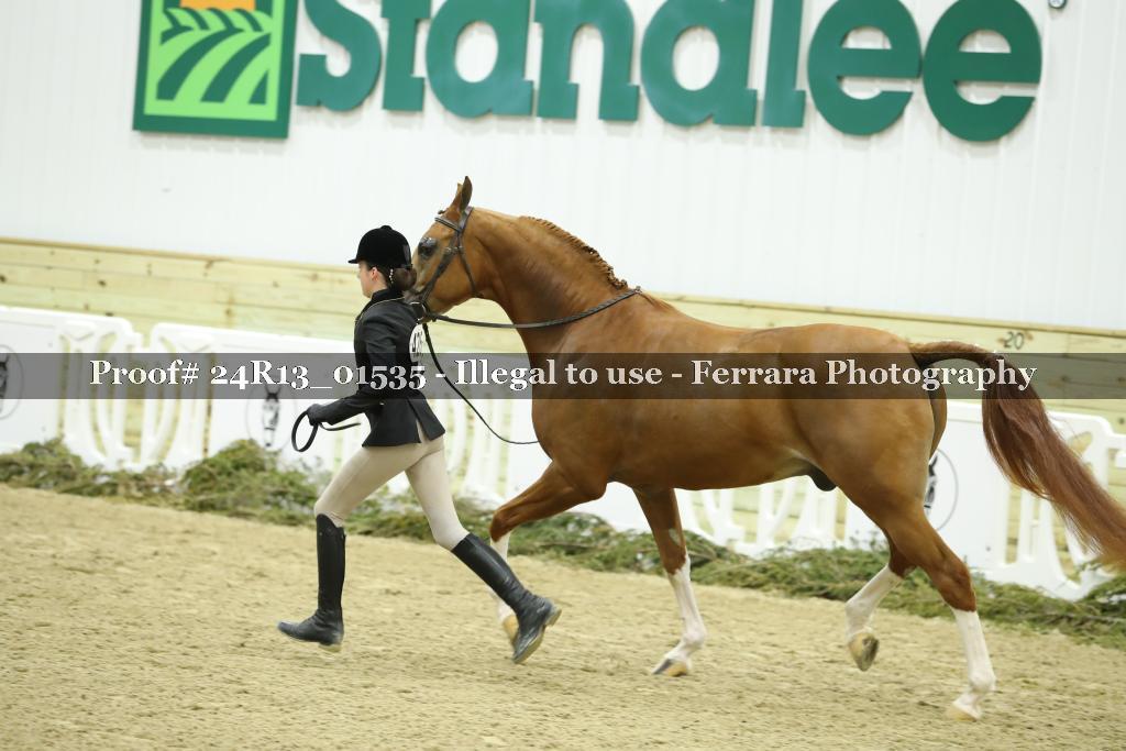 Proof 24R13_01535