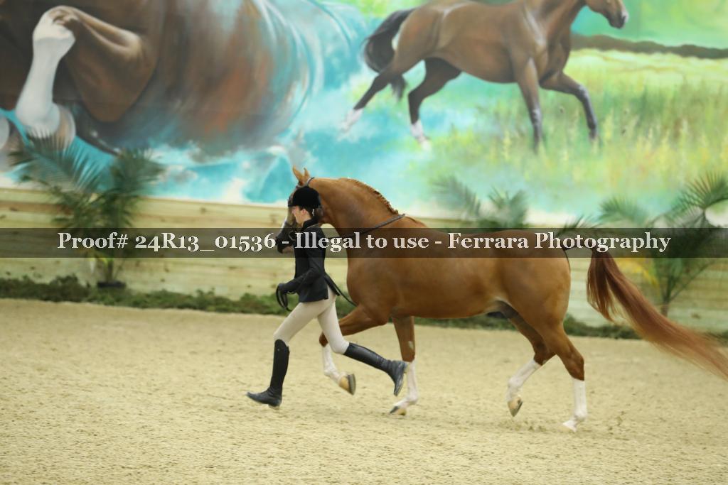 Proof 24R13_01536