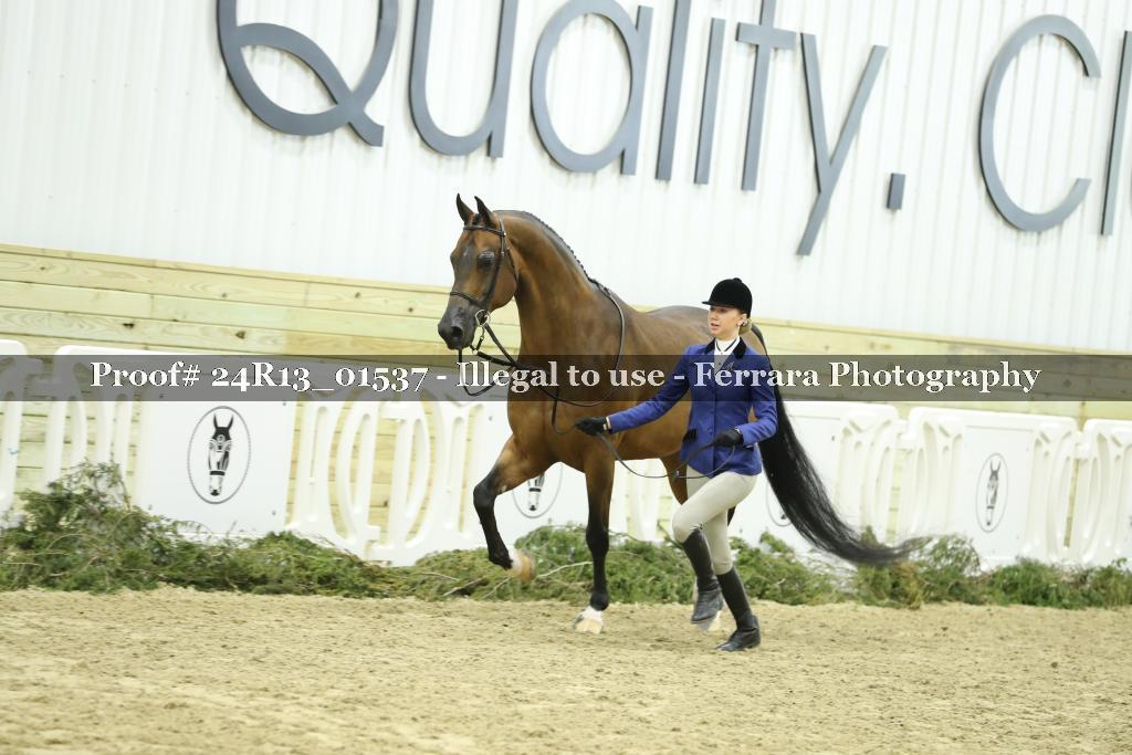 Proof 24R13_01537