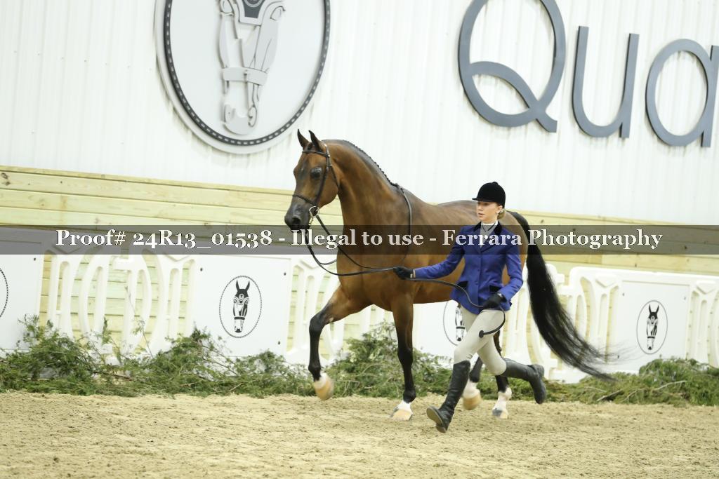 Proof 24R13_01538