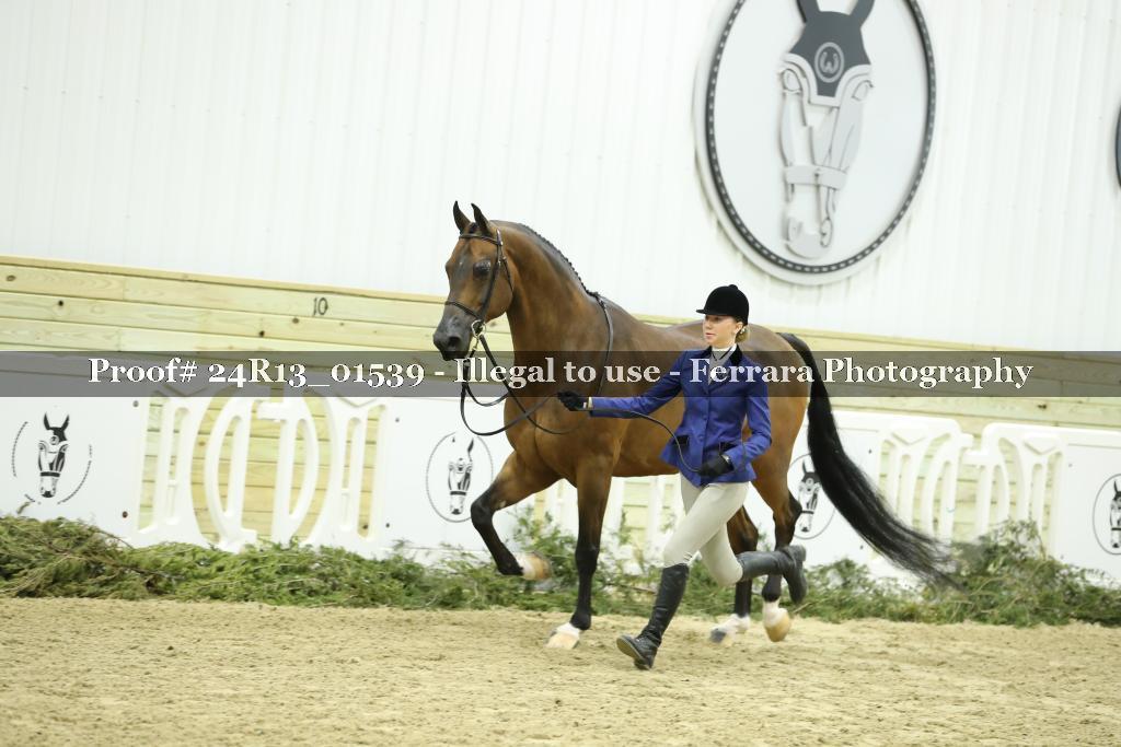 Proof 24R13_01539