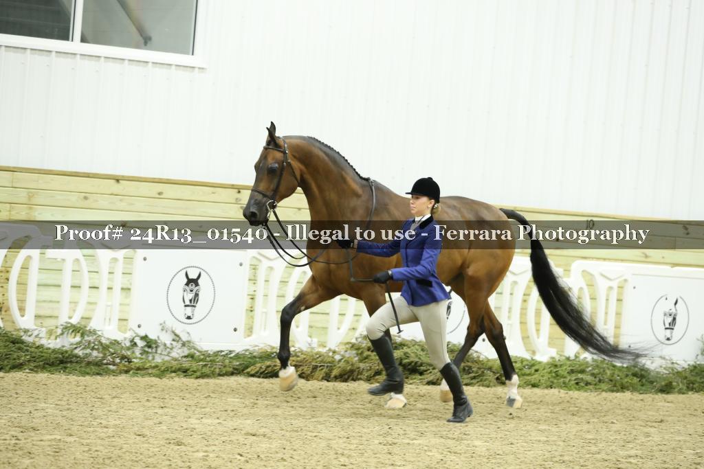 Proof 24R13_01540