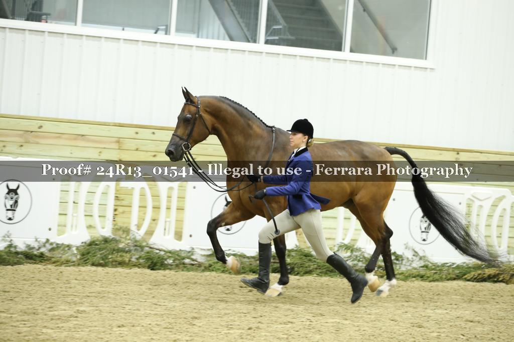 Proof 24R13_01541