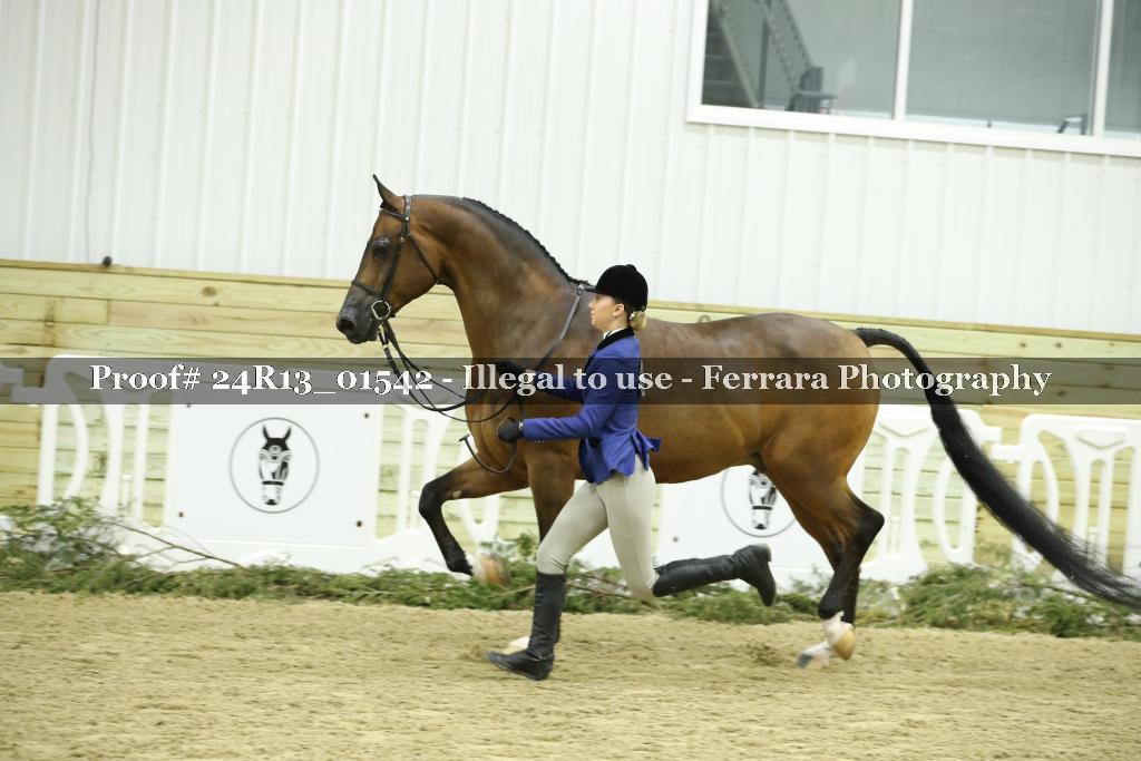 Proof 24R13_01542