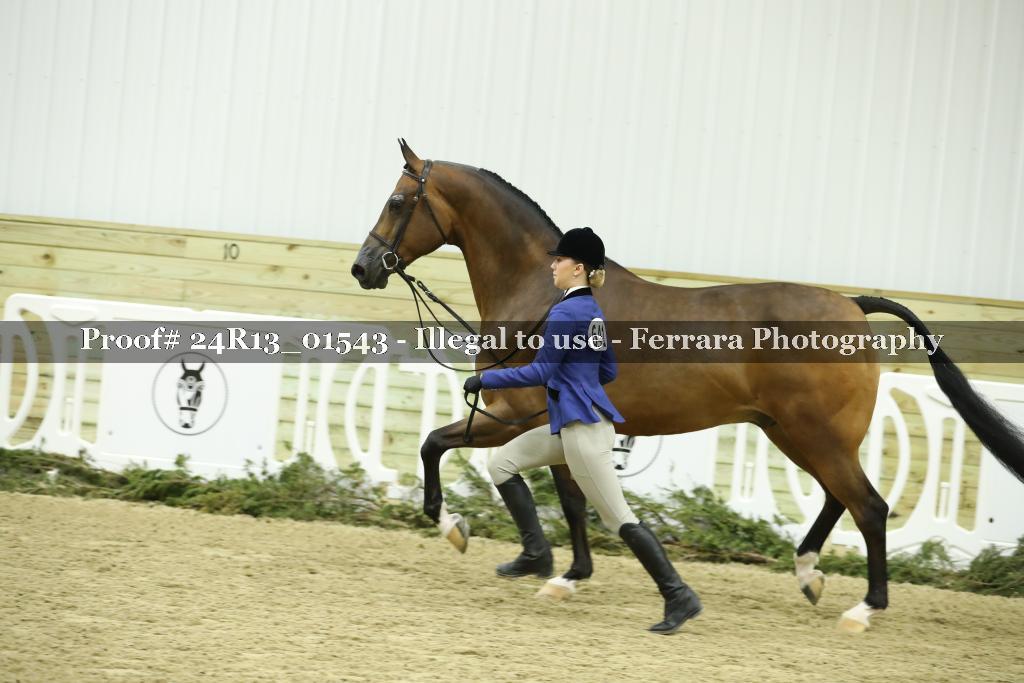 Proof 24R13_01543