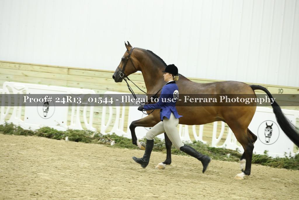 Proof 24R13_01544