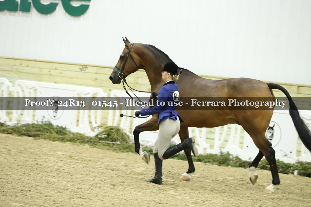 Proof 24R13_01545