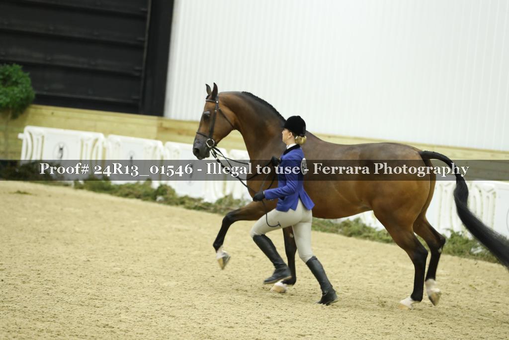 Proof 24R13_01546