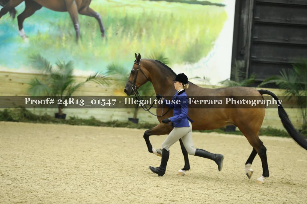 Proof 24R13_01547