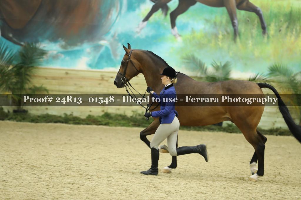 Proof 24R13_01548