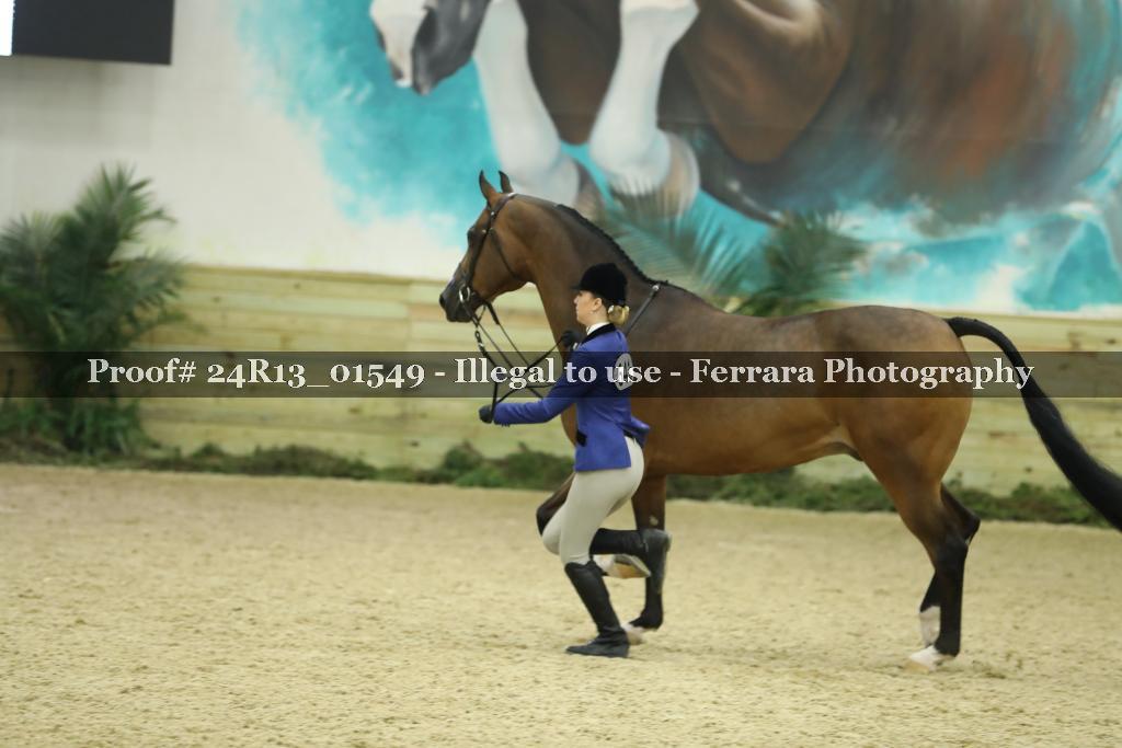 Proof 24R13_01549