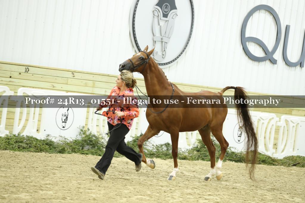 Proof 24R13_01551