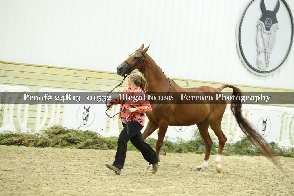 Proof 24R13_01552