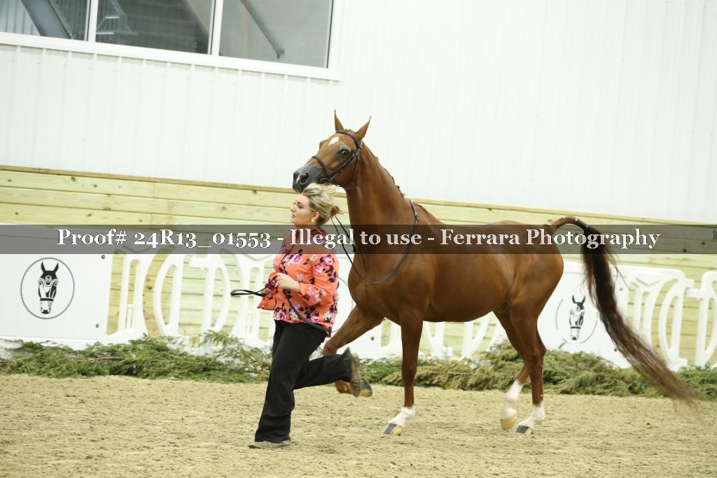 Proof 24R13_01553