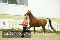 24R13_01553 proof