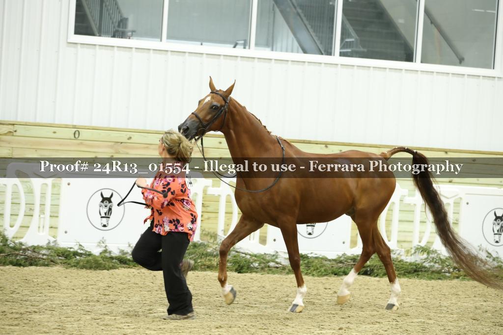 Proof 24R13_01554