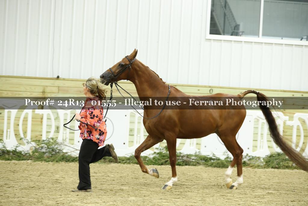 Proof 24R13_01555