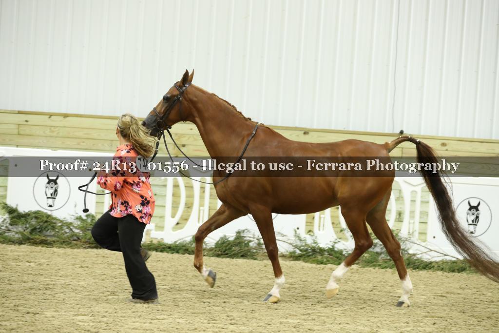 Proof 24R13_01556