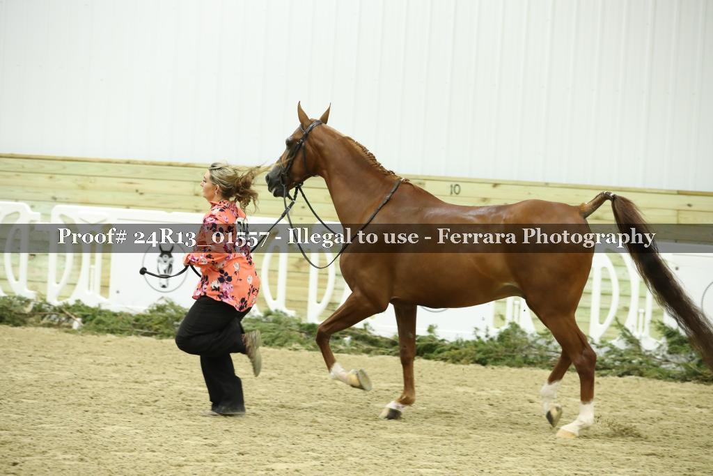 Proof 24R13_01557