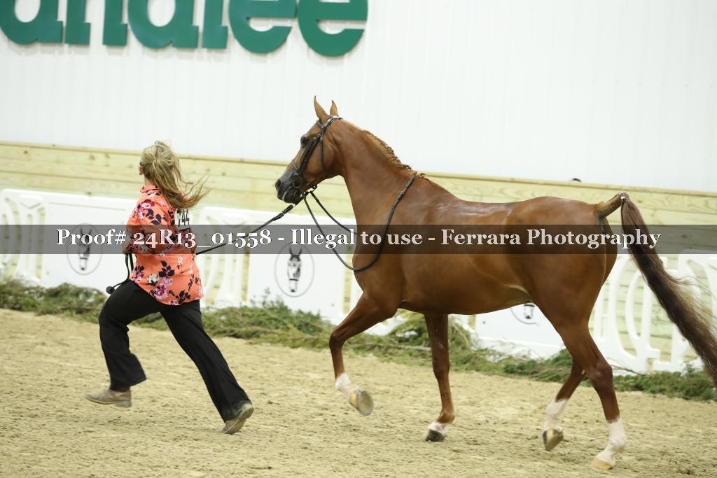 Proof 24R13_01558