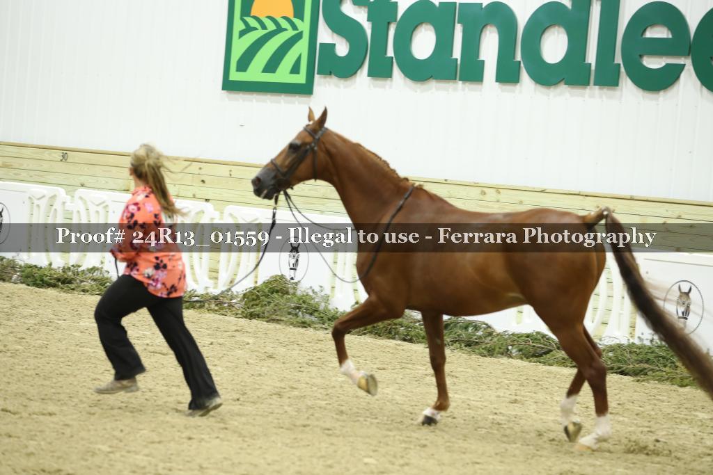 Proof 24R13_01559