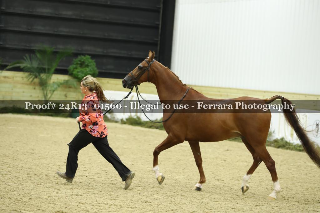 Proof 24R13_01560