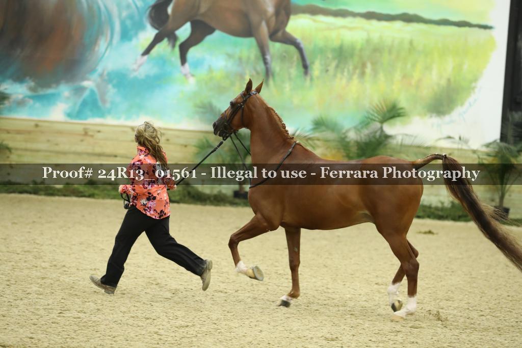 Proof 24R13_01561