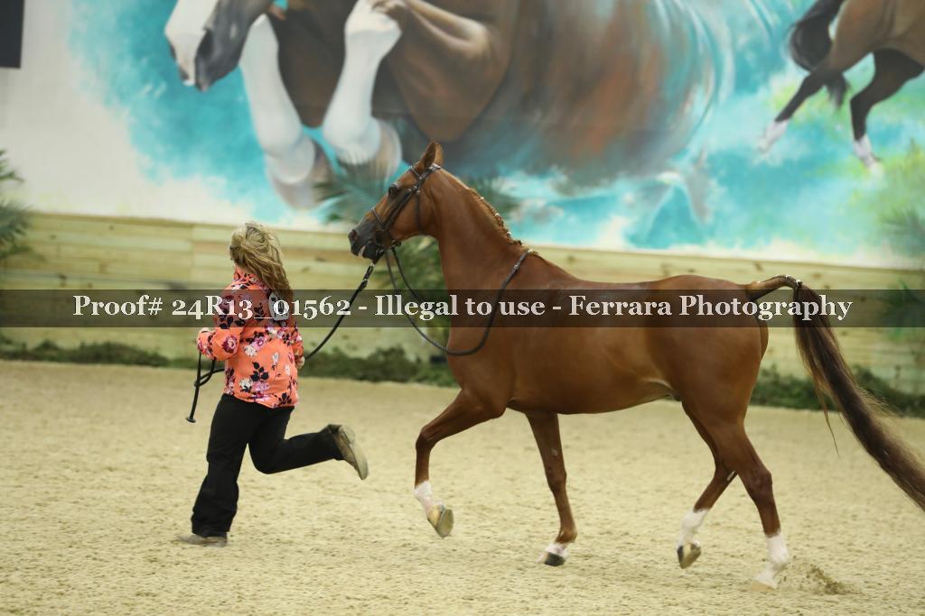 Proof 24R13_01562