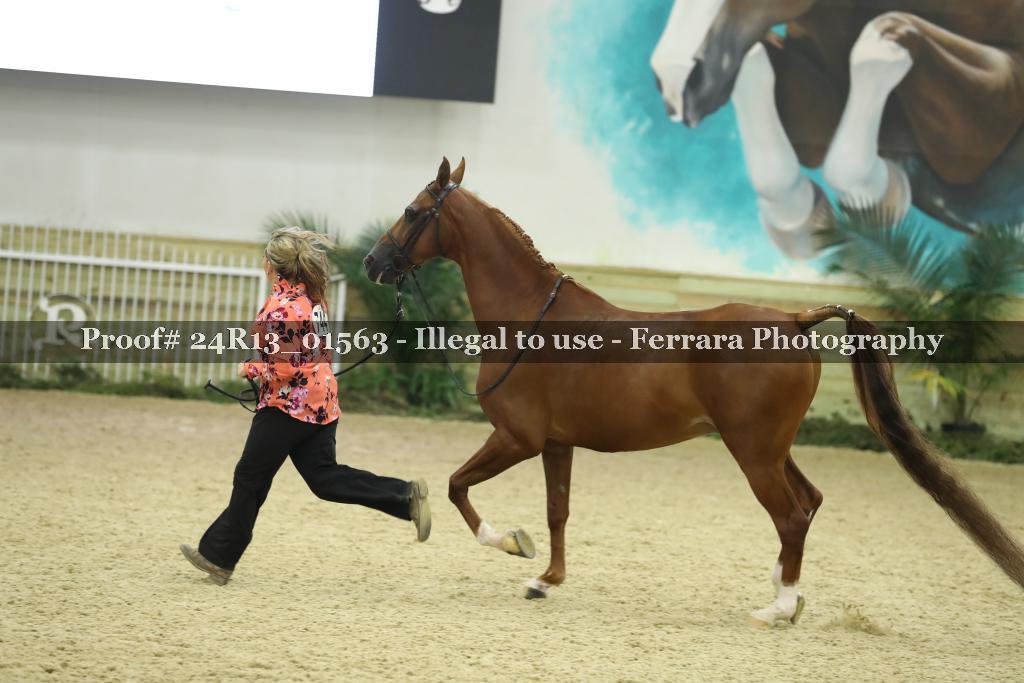 Proof 24R13_01563