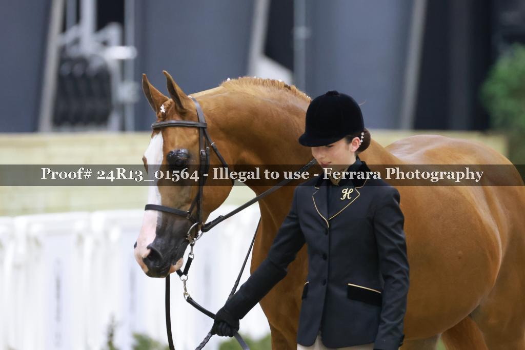 Proof 24R13_01564